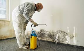 Reliable Clarksburg, WV Mold Prevention & Removal  Solutions